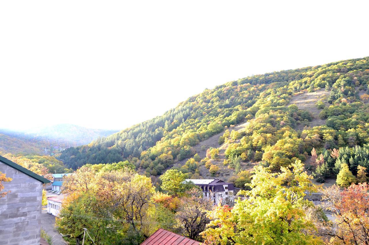 Villadzor Apart Hotel Tsaghkadzor Exterior photo